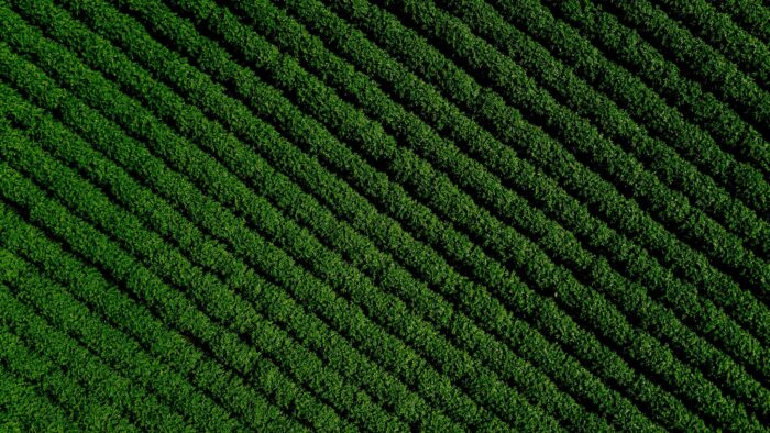 Pequenos Investimentos na Exploração Agrícola